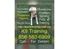 K9 Trainer for hire