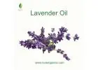 Lavender Oil Manufacturer & Exporter