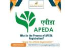 What is the Process of APEDA Registration?