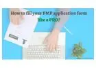 PMP Application Examples: Easy Guide for Your Certification