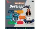 Top Rated WordPress Development Company in USA!