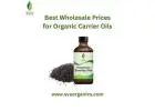 Best Wholesale Prices for Organic Carrier Oils