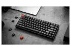 Buy Best Quality Normal Profile Mechanical Keyboards