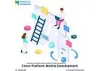 Mobiloitte: Expert Cross-Platform Mobile Development