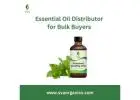 Wholesale Organic Essential Oils USA | SVA