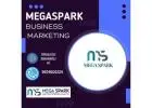 Mega Spark is among the best digital market companies in India.