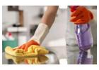 Efficient Kitchen Cleaning for a Spotless Environment