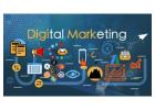 Choose Best Digital Marketing Agency in Delhi for ROI-Focused Online Growth Strategies