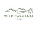 Wildlife Vacations in Tasmania: Explore Unique Animals