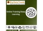 Online Training Deep Learning