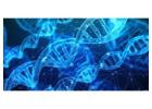 Age Reversal Therapies