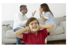 Family Problem Solutions in Florida