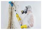 Professional Mold Remediation in Georgia – Restore a Healthy Environment