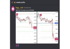 Best Indicators for TradingView
