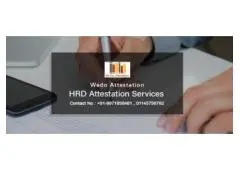 UAE Embassy Attestation for Employment: How to Legalize Your Documents