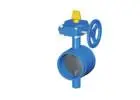 Gear-Operated Grooved Butterfly Valve for Fire Protection