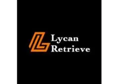Lycan Retrieve: Expert Asset Recovery Services
