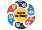 Invoidea is Trusted Best Digital Marketing Company in Delhi