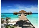 Best Luxury Travel service in Bennetts End
