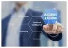 Explore B Tech in AI and Data Science for a Future-Ready Career