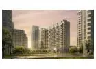 Explore Premium Living with Trident Realty in Gurugram