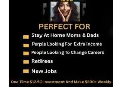 Agent Needed-Get Paid To Help Small Business Owners