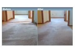 Pure Comfort Starts Here – Carpet Cleaning Services in Rochester Hills