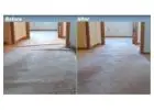 Pure Comfort Starts Here – Carpet Cleaning Services in Rochester Hills
