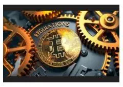 Stay Updated With Latest Concise Ripple Cryptocurrency News