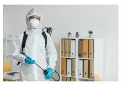 Hire a Licensed Exterminator for Fast, Reliable Pest Removal