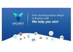 Web and Mobile App Development Company USA