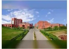 Enroll in Leading BSc Colleges in UP for Academic Excellence