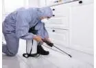 Reliable Residential Pest Control Services Langley for a Pest-Free Home
