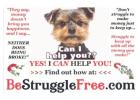 Seize this business opportunity to transform your life and those around you