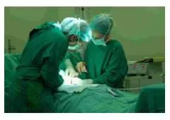 Best Kidney Transplant Specialist in Haryana | Kasha Clinic