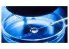 IVF (In Vitro Fertilization) Treatment in USA