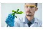 Drug Rehabilitation Centre In India - Lifeline Rehabilitation Home