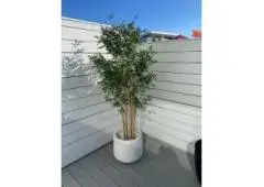 Bring Timeless Greenery Into Your Space With Realistic Artificial Plants