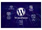 Reliable Best WordPress Development Company in India for Custom Solutions