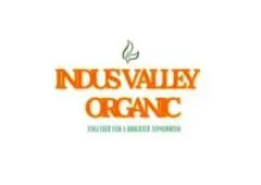 Go Organic with Indus Valley – 100% Natural Beauty & Wellness
