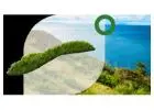 Artificial Grass Cleaning & Maintenance in Dubai – Book Now!