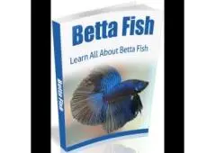 Fishing Books