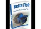 Fishing Books