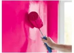 Best House Painter in East Tamaki Heights