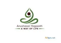 Top Online Yoga Classes in Bangalore: Find Your Perfect Fit