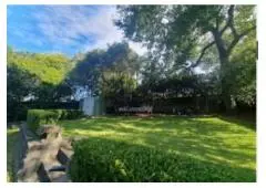 Best Lawns service in Killara