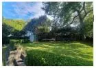 Best Lawns service in Killara