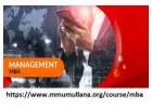 Top mba in international business colleges in india