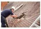 Best Roof Repair service in Phoenix Homesteads