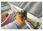 Best Gutter Cleaning service in Nuevo
